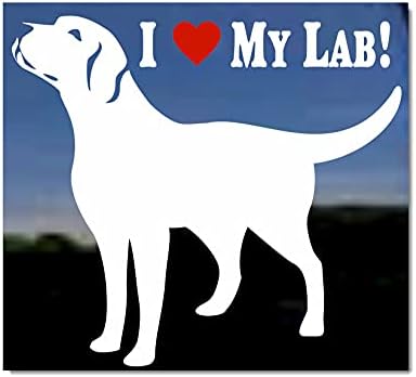 אני אוהב את המעבדה שלי! Labrador Retriever Vinyl Window Mancal מדבקה כלבים