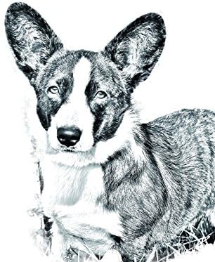 קרדיגן וולשית קורגי, מצבה סגלגלה מאריחי קרמיקה עם תמונה של כלב