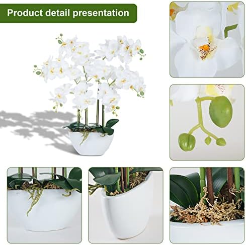 Ziwon פרחי סחלב מלאכותיים וצמחים בעציץ בסיר קרמיקה, סחלבים פו -פו -פו -פו -פו לבנים לסחוב סחבים מרכזי שולחן, סידור