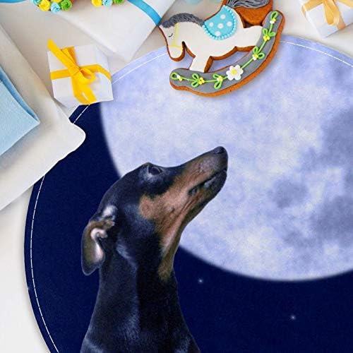 Heoeh Lunar and Dachsund Animal Dog, שחרור לא להחליק 15.7 אינץ