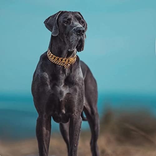 צווארוני כלבי זהב לכלבים גדולים, שרשרת זהב כלבים עבה 32 ממ צווארון שרשרת כלבים מתכתית צווארון נירוסטה