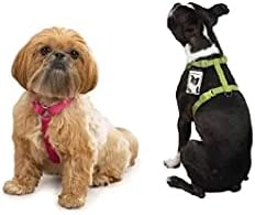 רתמת כלבים בתפזורת אריזה מקלט וטרינר להצלת צבע מגוון בחר בגודל וכמות